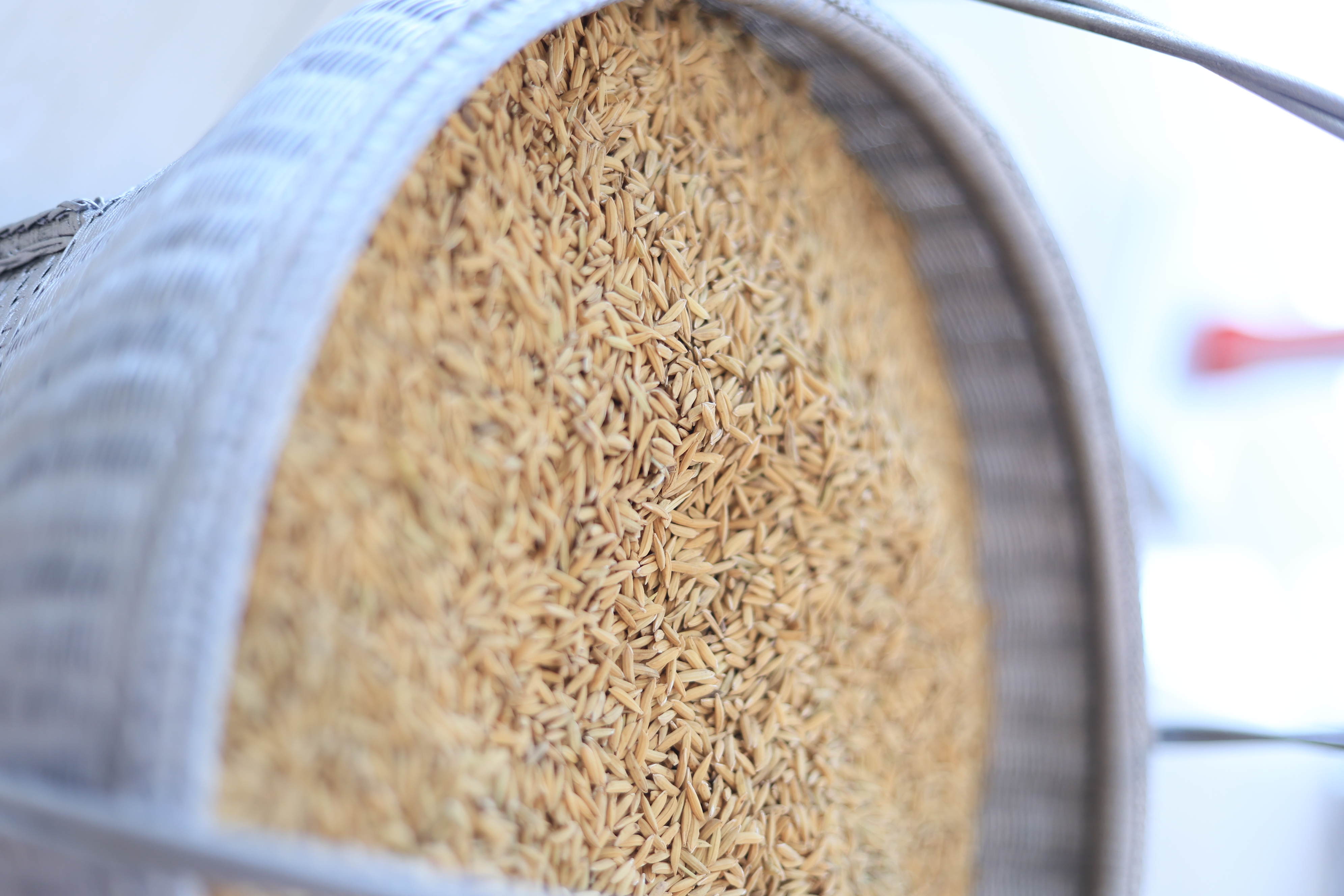 title - ส.ป.ก. ร่วมฝึกซ้อมริ้วขบวนอิสริยยศ ในพระราชพิธีพืชมงคลจรดพระนังคัลแรกนาขวัญ ประจำปี 2569 (ซ้อมกรณีพิเศษ ครั้งที่ 1)